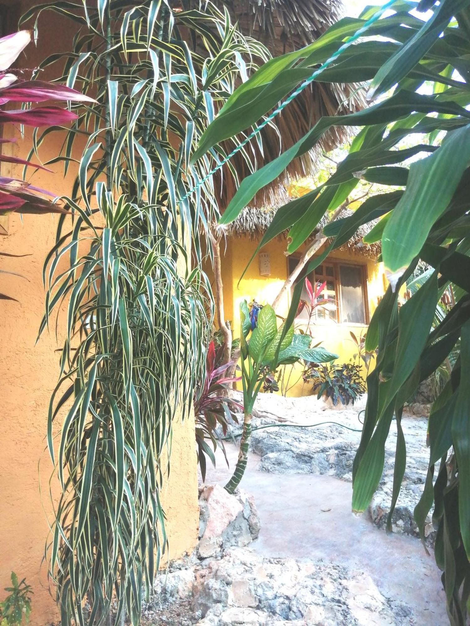 Suites De Piedra Y Colores En Chichen Itza Piste Ngoại thất bức ảnh